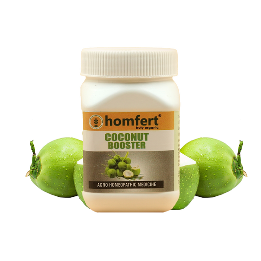 Homfert Coconut Booster