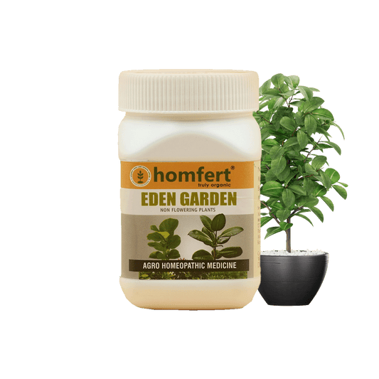 Homfert Eden Garden