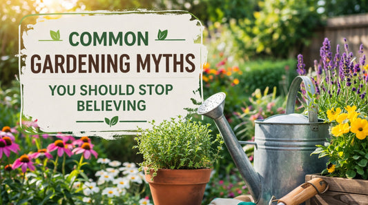 Common Gardening Myths You Should Stop Believing