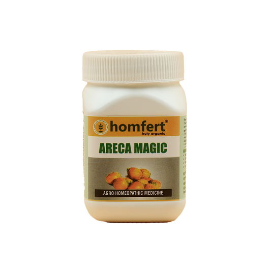 Homfert Areca Magic